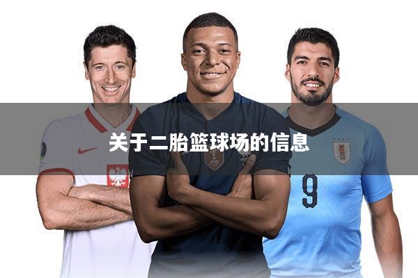 关于二胎篮球场的信息