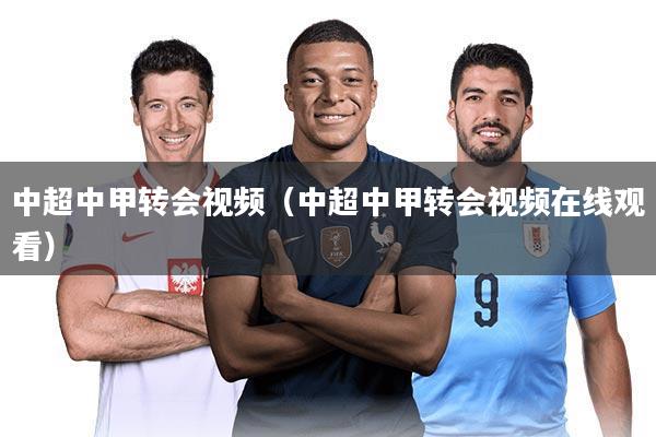 中超中甲转会视频(中超中甲转会视频在线观看)