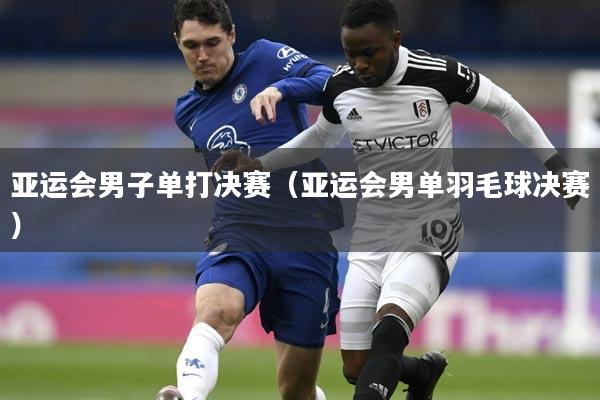 亚运会男子单打决赛(亚运会男单羽毛球决赛)