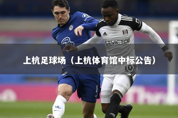 上杭足球场(上杭体育馆中标公告)