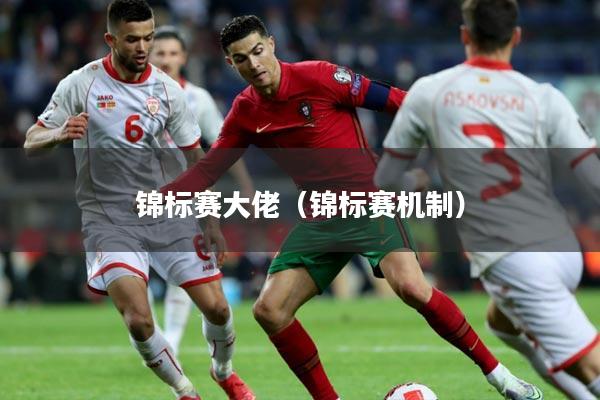 锦标赛大佬(锦标赛机制)