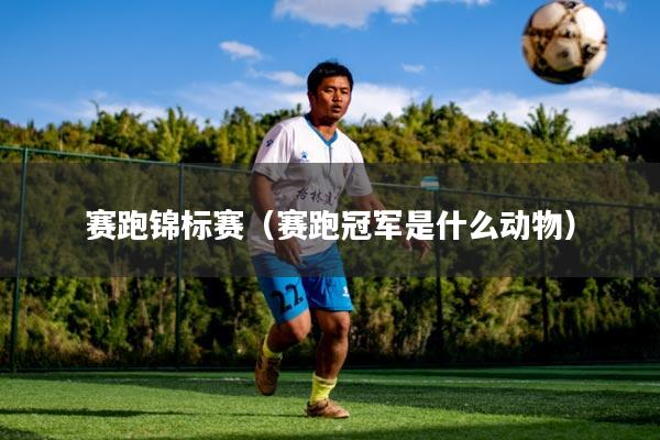 赛跑锦标赛（赛跑冠军是什么动物）