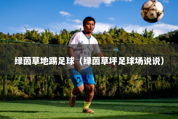 绿茵草地踢足球(绿茵草坪足球场说说)
