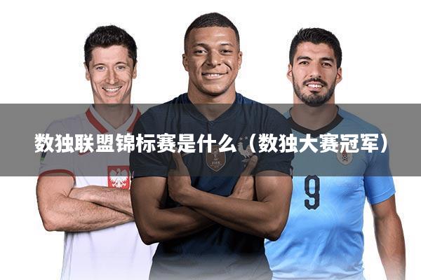 数独联盟锦标赛是什么（数独大赛冠军）