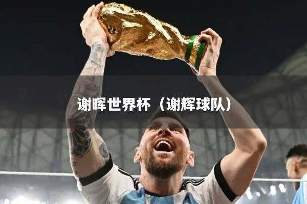 谢晖世界杯(谢辉球队)