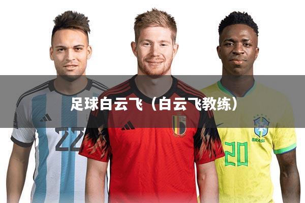 足球白云飞(白云飞教练)