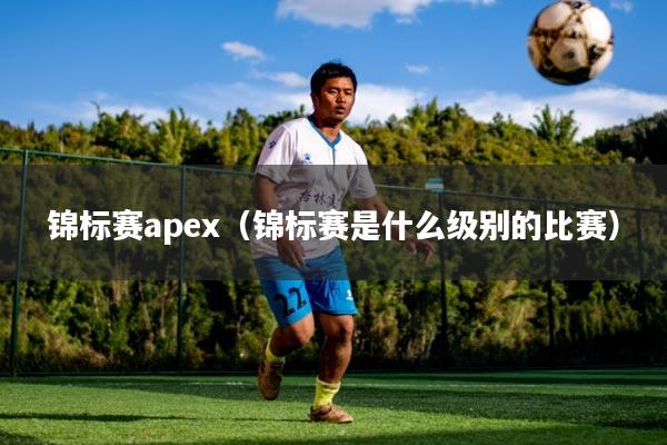 锦标赛apex（锦标赛是什么级别的比赛）