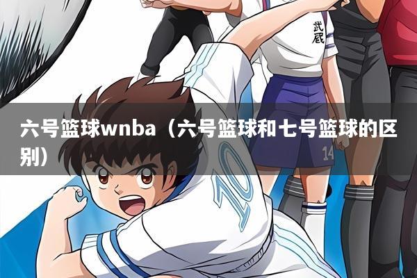 六号篮球wnba（六号篮球和七号篮球的区别）